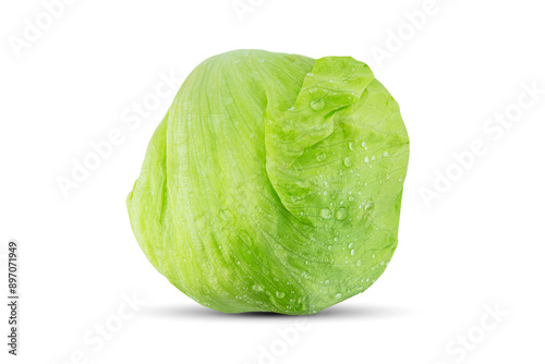 Wet green iceberg lettuce with water drops  isolated on white background with clipping path