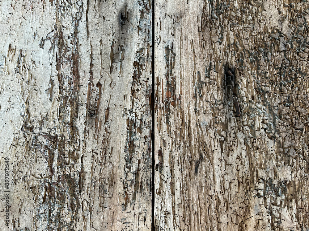 Nature wooden background. Close-up. Copy space. Nature wooden background. Close-up. Copy space.