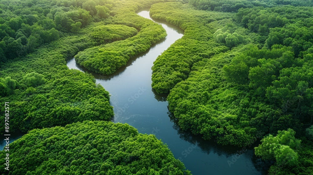 An elevated perspective captures the meandering river flowing through the vibrant greenery of the lush forests in great britain An elevated perspective captures the meandering river flowing through the vibrant greenery of the lush forests in great britain