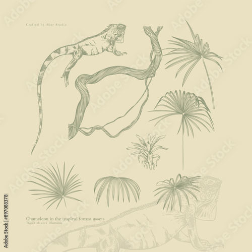 chameleon in the tropical forrest hand drawn assets