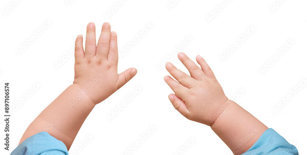 Png newborn baby hands sticker on transparent background