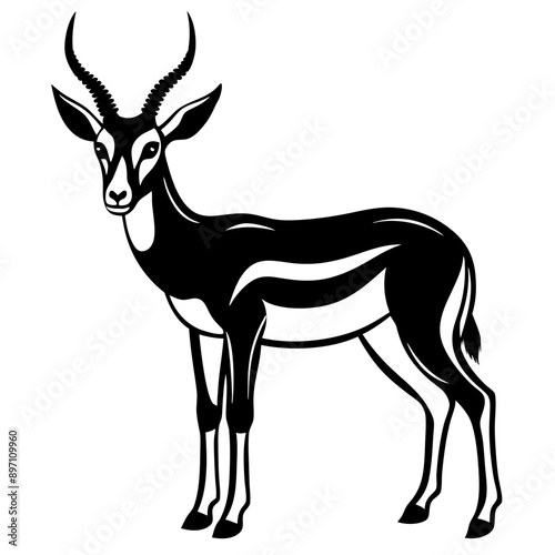 springbok vector art illustration vector illustration