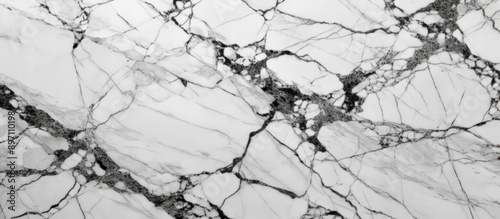 White Marble with Black Veins