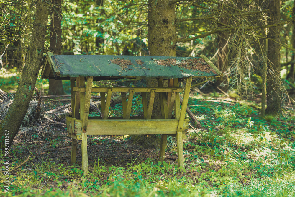 wooden feeder is sitting in the middle of a forest wooden feeder is sitting in the middle of a forest