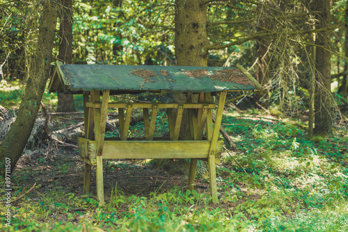 Fotografie wooden feeder is sitting in the middle of a forest