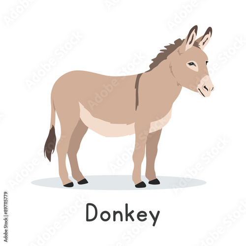 Donkey vector illustration. Cute donkey cartoon clipart, animal in flat style. Farm animals concept, rural farming. Livestock animal donkey vector design isolated on white background