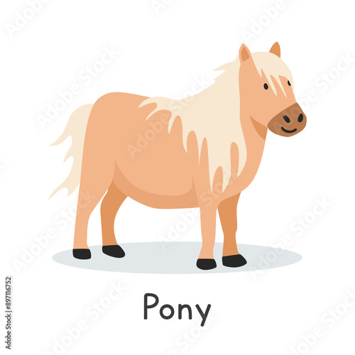 Pony vector illustration. Cute pony cartoon clipart, animal in flat style. Farm animals concept, rural farming. Livestock animal pony vector design isolated on white background