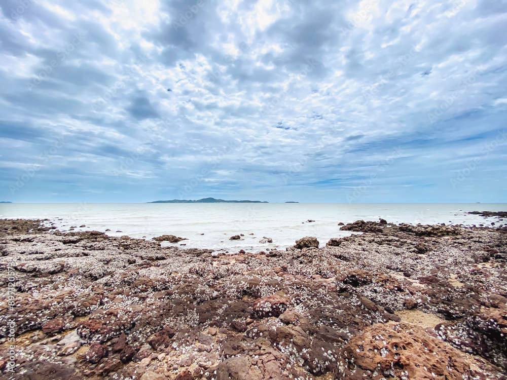 rocky beach filled with small white shells rocky beach filled with small white shells