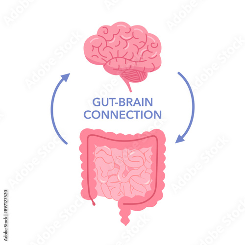 Connection of cute healthy happy brain and intestine gut. Relation health of human brain and gut, second brain. Unity of mental and digestive vector illustration.
