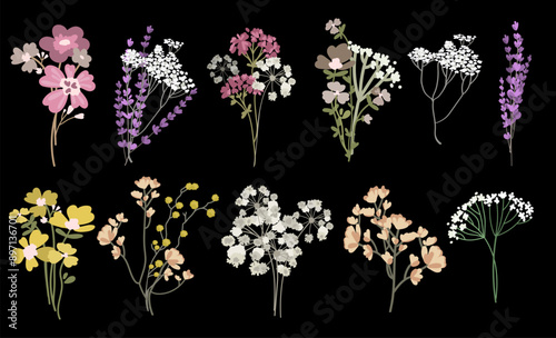 Wild flowers vector set.Botanist blossom floral elements collection.Field herbs and dried flowers bouquets. Branches, flowers, leaves, herbs, wild plants.Set of wild field herbs.Vector illustration