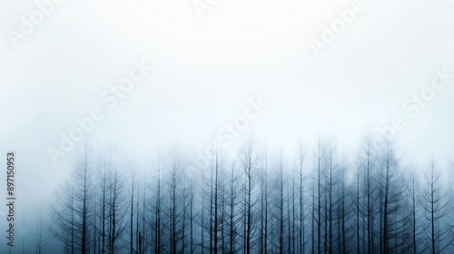 Winter nature, leafless tree, coniferous forest, boho style, minimalist, soft grunge texture