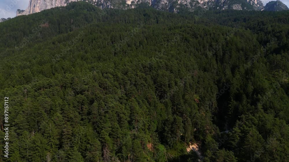 incredible mountains with green pine meadows, surrounded by clouds