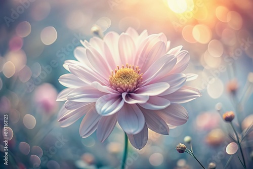 Delicate petal details of a solitary flower emerge from a soft, dreamy blurred background, evoking a sense of serenity and peacefulness in this close-up nature shot.