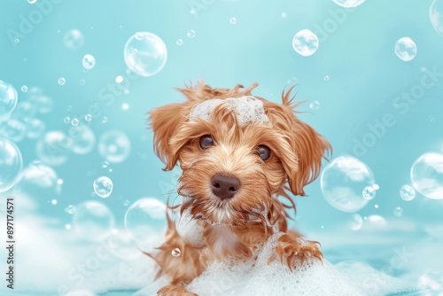 Close-up of golden brown Poodle dog being washed with shampoo. Beautiful simple AI generated image in 4K, unique.