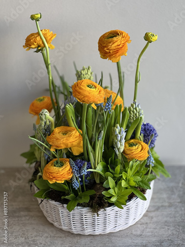 Wallpaper Mural Beautiful floral composition of fresh yellow ranunculus and blue hyacinths flowers, close up vertical view Torontodigital.ca