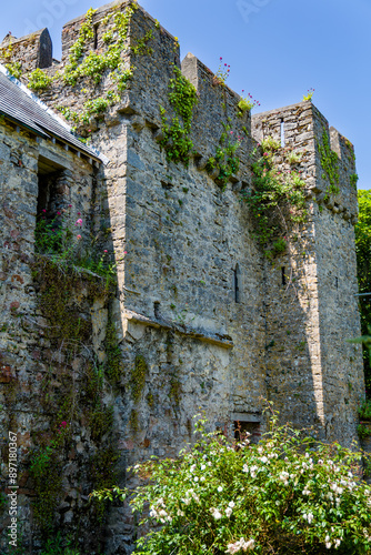 Overgrown remains of a 13th century priory on Caldey Island, Wales photo