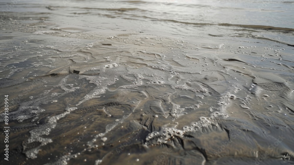 Detail of low tide with brackish water Detail of low tide with brackish water