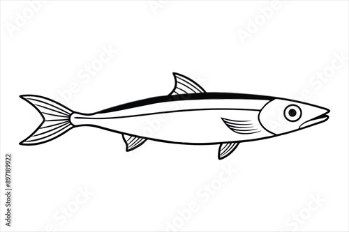 Anchovy line art vector