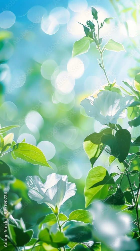 White flowers bloom against a backdrop of lush greenery and a bright blue sky White flowers bloom against a backdrop of lush greenery and a bright blue sky