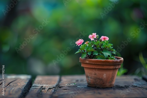 Wallpaper Mural Pink flowers in terracotta pot on rustic wood Torontodigital.ca