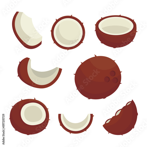 vector illustration of coconut shell fruit