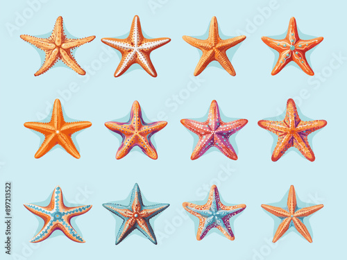 Set of colored sea shells, molluscs isolated on white background.
