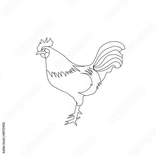illustration of a rooster