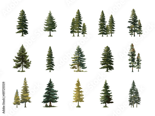 Set of evergreen Tree pine trees isolated on white background