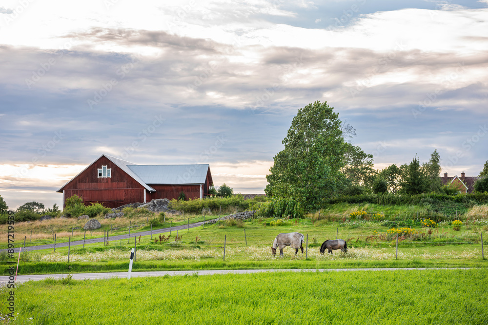 farm with horses farm with horses