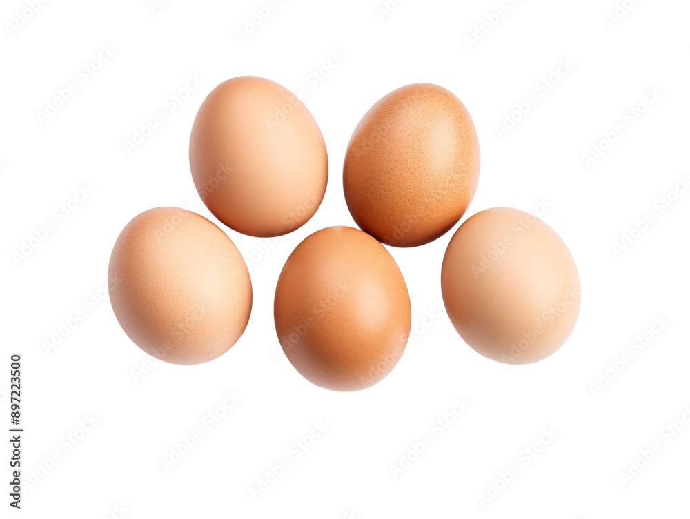 a group of eggs on a white background a group of eggs on a white background