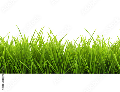 Green grass frame isolated on transparent background.