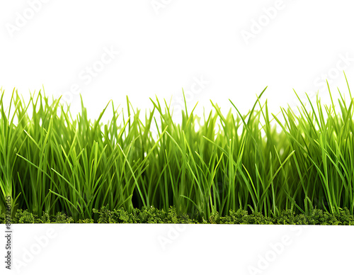 Green grass frame isolated on transparent background.