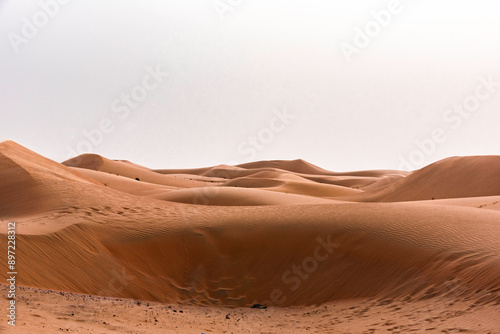 Arabian desert