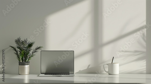 a laptop and a plant on a desk