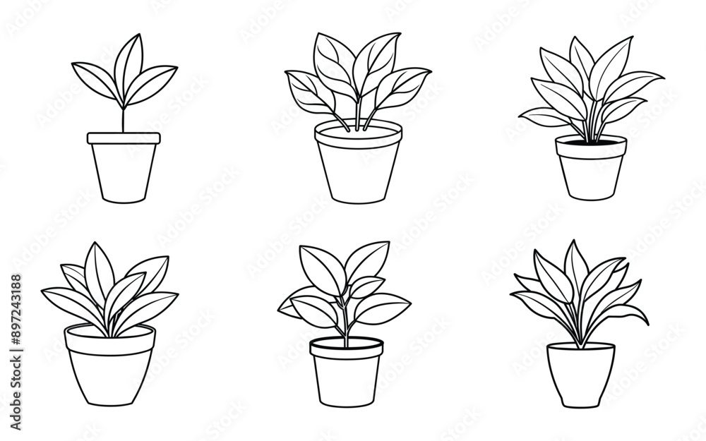 Minimalist Line Drawing of House Plant Bundle Collection in a Pot Minimalist Line Drawing of House Plant Bundle Collection in a Pot