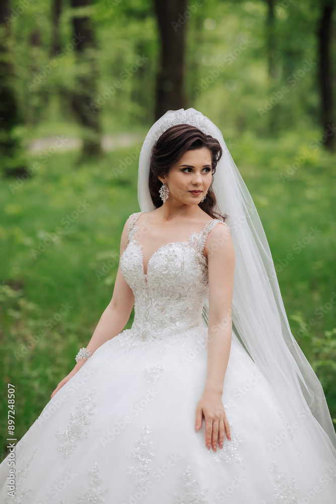 A woman in a white dress is standing in a field. She is wearing a veil and a tiara A woman in a white dress is standing in a field. She is wearing a veil and a tiara