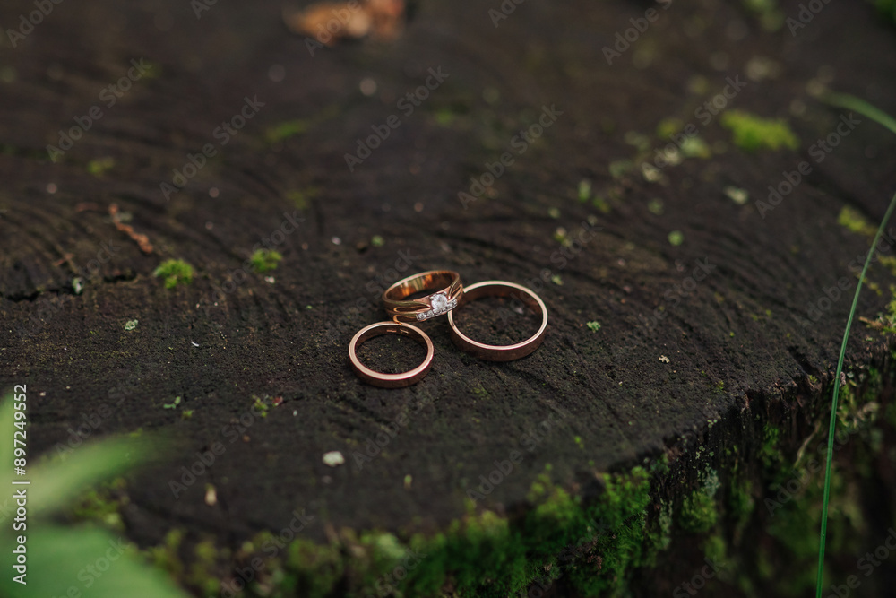 Three wedding rings are on a mossy log. The rings are gold and have diamonds on them Three wedding rings are on a mossy log. The rings are gold and have diamonds on them