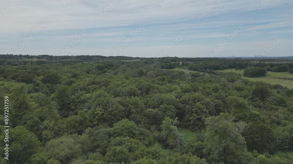 Aerial drone video of a dense forest in the countryside. Aerial drone video of a dense forest in the countryside.