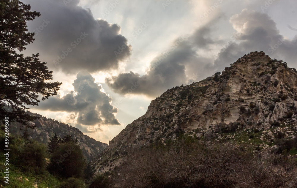 Fototapeta premium Avakas Gorge in Cyprus..