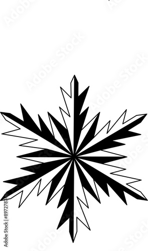 Big snowflake icon black and white side vector photo