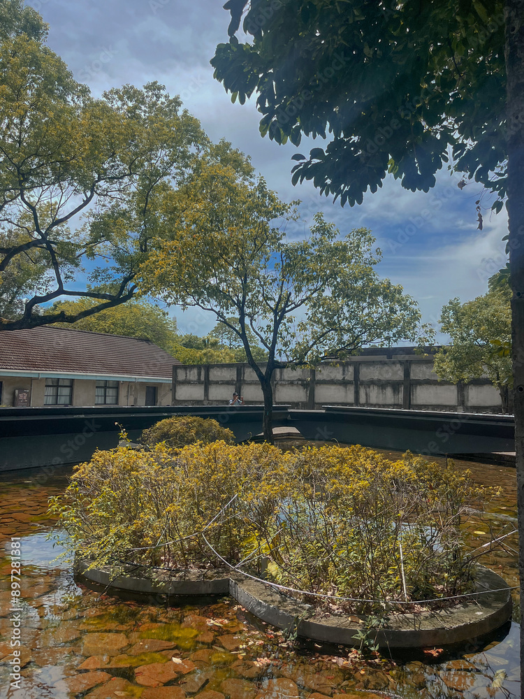 Fototapeta premium autumn in the city