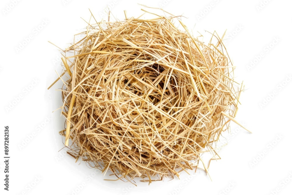 A close-up view of a bird's nest on a white surface A close-up view of a bird's nest on a white surface
