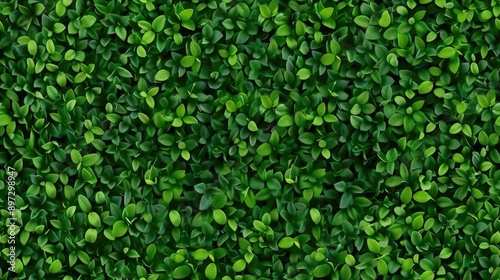 Wallpaper Mural A close-up view of a thick patch of small, green leaves, creating a textured and natural background SEAMLESS PATTERN Torontodigital.ca