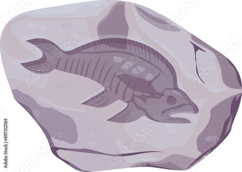 Fish Fossil