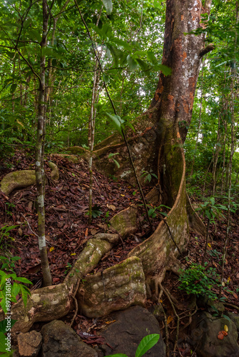 Gorgona Island_Pacific Ocean_Colombia
