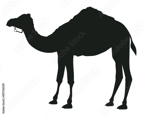 camel silhouette 