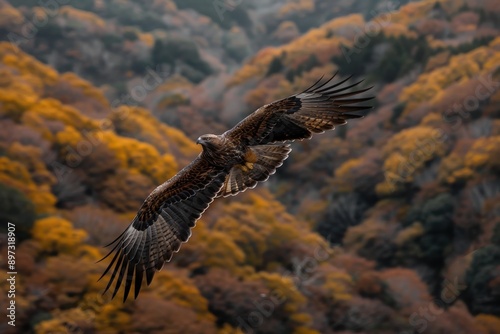 A bird soaring elegantly over an autumn landscape filled with trees, representing the freedom of the skies and the breathtaking beauty of the natural world during the fall season.