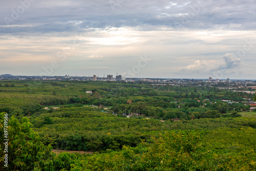 Beautiful blurred morning nature background amidst cassava forest with colorful morning natural light and light mist covering the sky.