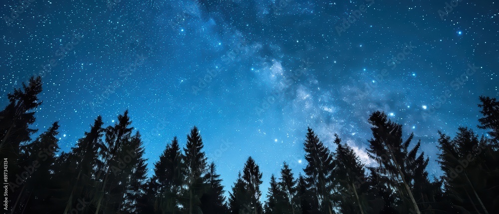 A starry sky perfect for wallpaper landscape fantasy, with a myriad of twinkling stars illuminating the night, banner, with copy space A starry sky perfect for wallpaper landscape fantasy, with a myriad of twinkling stars illuminating the night, banner, with copy space