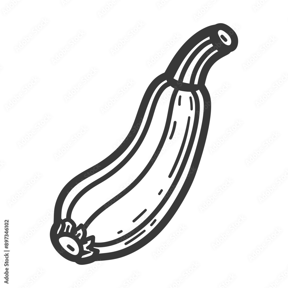 Black and White Line Drawing of a Zucchini Black and White Line Drawing of a Zucchini